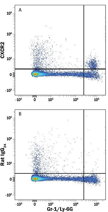 Mouse splenocytes were stained with Rat Anti-Mouse Gr-1/Ly-6G APC-conjugated Monoclonal Antibody (Catalog # FAB1037A) and either (A) Rat Anti-Mouse CXCR2/IL-8 RB PerCP-conjugated Monoclonal Antibody (Catalog # FAB2164C) or (B) Rat IgG1PerCP Isotype Control (Catalog # IC005C). View our protocol for Staining Membrane-associated Proteins.