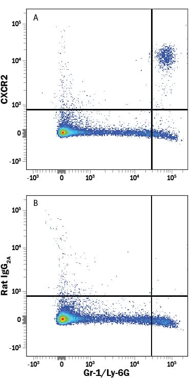 Mouse splenocytes were stained with Rat Anti-Mouse Gr-1/Ly-6G APC-conjugated Monoclonal Antibody (Catalog # FAB1037A) and either (A) Rat Anti-Mouse CXCR2/IL-8 RB PE-conjugated Monoclonal Antibody (Catalog # FAB2164P) or (B) Rat IgG1Phycoerythrin Isotype Control (Catalog # IC005P). View our protocol for Staining Membrane-associated Proteins.