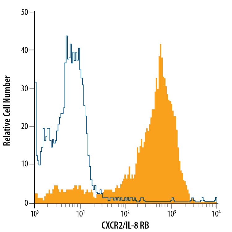 Rat peripheral blood granulocytes were stained with Mouse Anti-Rat CXCR2/IL-8 RB PE-conjugated Monoclonal Antibody (Catalog # FAB8110P, filled histogram) or isotype control antibody (Catalog # IC0041P, open histogram). View our protocol for Staining Membrane-associated Proteins.