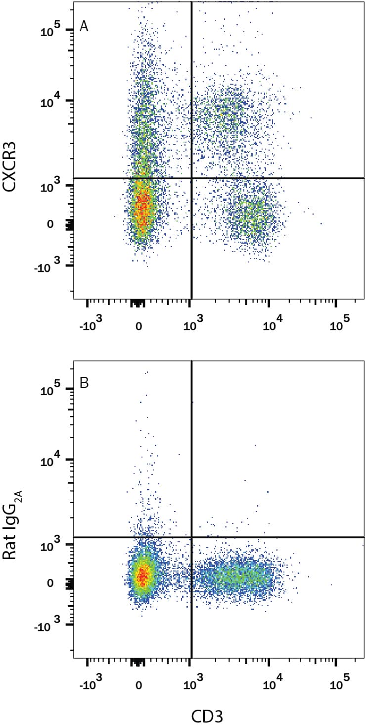 Mouse splenocytes were stained with Rat Anti-Mouse CD3 APC-conjugated Monoclonal Antibody (Catalog # FAB4841A) and either (A) Rat Anti-Mouse CXCR3 PE-conjugated Monoclonal Antibody (Catalog # FAB1685P) or (B) Rat IgG2APhycoerythrin Isotype Control (Catalog # IC006P). View our protocol for Staining Membrane-associated Proteins.