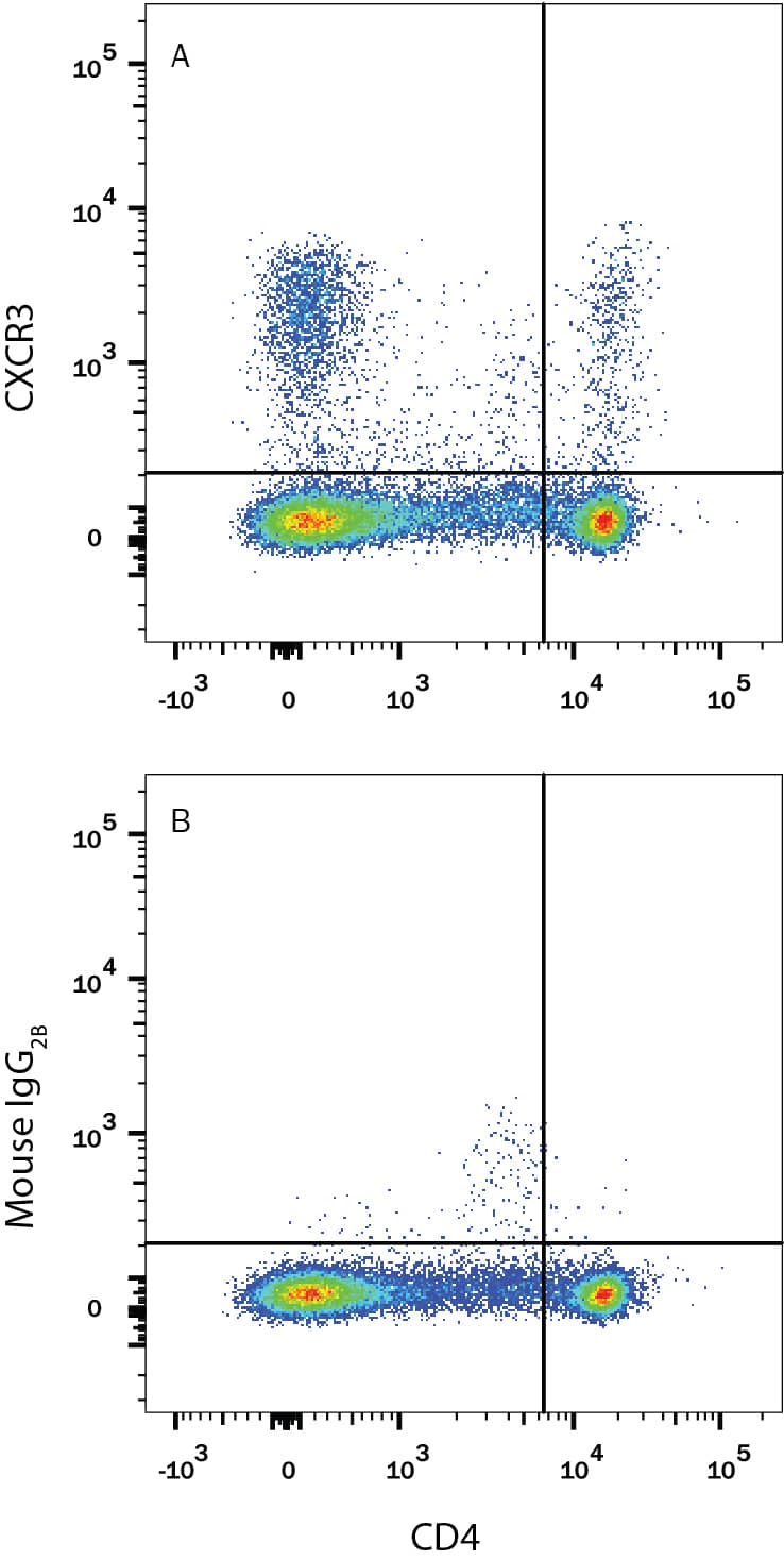 Rat splenocytes were stained with anti-rat CD4 APC-conjugated antibody and either (A) Mouse Anti-Rat CXCR3 Alexa Fluor® 488-conjugated Monoclonal Antibody (Catalog # FAB8109G) or (B) Mouse IgG2BAlexa Fluor 488 Isotype Control (Catalog # IC0041G). View our protocol for Staining Membrane-associated Proteins.