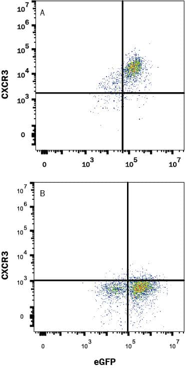 HEK293 human embryonic kidney cell line transfected with (A) human CXCR3 or (B) irrelevant transfectants and eGFP was stained with and either Mouse Anti-Human CXCR3 Monoclonal Antibody (Catalog # MAB160R) followed by APC-conjugated Anti-Mouse IgG Secondary Antibody (Catalog # F0101B). Quadrant markers were set based on Mouse IgG1 Flow Cytometry Isotype Control (Catalog # MAB002). View our protocol for Staining Membrane-associated Proteins.
