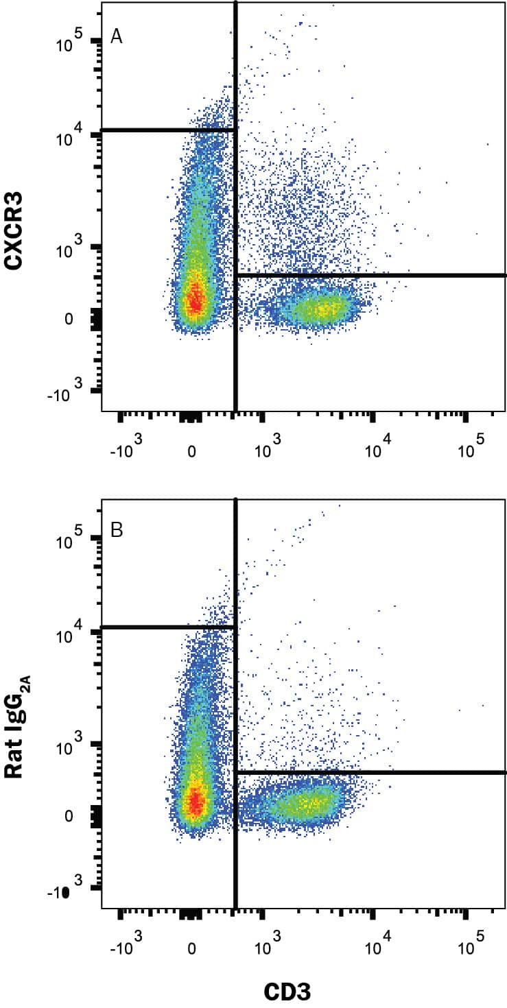 Mouse splenocytes were stained with Rat Anti-Mouse CD3 APC-conjugated Monoclonal Antibody (Catalog # FAB4841A) and either (A) Rat Anti-Mouse CXCR3 Monoclonal Antibody (Catalog # MAB1685R) or (B) Rat IgG2A Isotype Control (Catalog # MAB006) followed by Phycoerythrin-conjugated Anti-Rat IgG Secondary Antibody (Catalog # F0105B). View our protocol for Staining Membrane-associated Proteins.