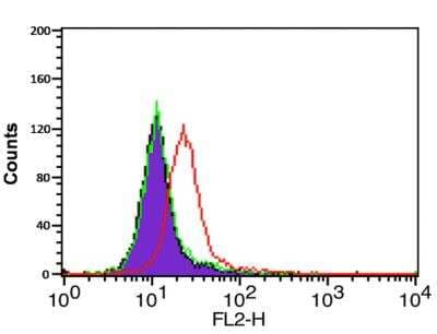 Flow Cytometry: CXCR4 Antibody [NBP1-77067] - Analysis of HeLa cells using CXCR4 antibody at 0.1 ug/ml. Purple: cells without staining, Green: Isotype control. Red : CXCR4 antibody.