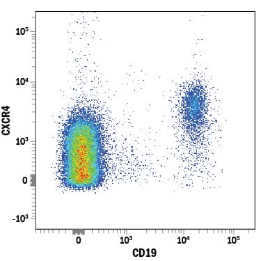 Human peripheral blood lymphocytes were stained with Mouse Anti-Human CXCR4 APC-conjugated Monoclonal Antibody (Catalog # FAB170A) and Mouse Anti-Human CD19 PE-conjugated Monoclonal Antibody (Catalog # FAB4867P). View our protocol for Staining Membrane-associated Proteins.