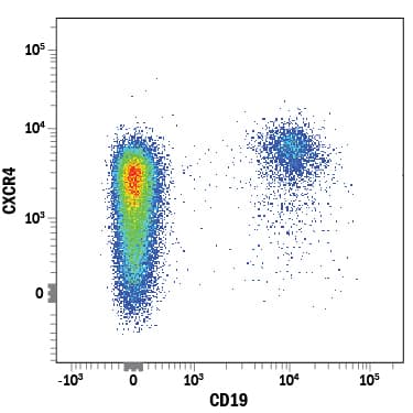 Human peripheral blood lymphocytes were stained with Mouse Anti-Human CXCR4 Biotinylated Monoclonal Antibody (Catalog # FAB170B) followed by Streptavidin-Phycoerythrin (Catalog # F0040) and Mouse Anti-Human CD19 APC-conjugated Monoclonal Antibody (Catalog # FAB4867A). View our protocol for Staining Membrane-associated Proteins.