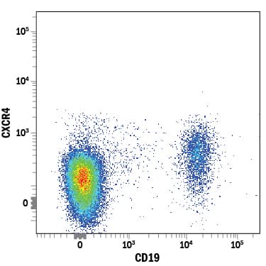 Human peripheral blood lymphocytes were stained with Mouse Anti-Human CXCR4 Alexa Fluor® 488-conjugated Monoclonal Antibody (Catalog # FAB170G) and Mouse Anti-Human CD19 PE-conjugated Monoclonal Antibody (Catalog # FAB4867P). View our protocol for Staining Membrane-associated Proteins.