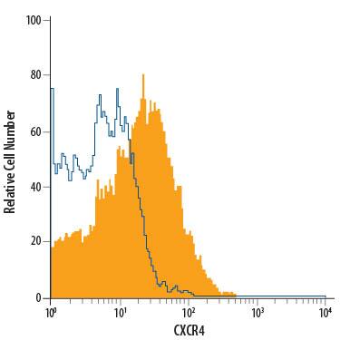 Human peripheral blood lymphocytes were stained with Mouse Anti-Human CXCR4 Alexa Fluor® 700-conjugated Monoclonal Antibody (Catalog # FAB170N, filled histogram) or isotype control antibody (Catalog # IC003N, open histogram). View our protocol for Staining Membrane-associated Proteins.
