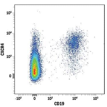 Human peripheral blood lymphocytes were stained with Mouse Anti-Human CXCR4 PE-conjugated Monoclonal Antibody (Catalog # FAB170P) and Mouse Anti-Human CD19 APC-conjugated Monoclonal Antibody (FAB4867A) for 15 minutes at 37°C followed by 15 minutes at room temperature. View our protocol for Staining Membrane-associated Proteins.