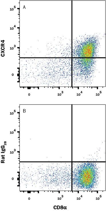 Mouse thymocytes were stained with (A) Rat Anti-Mouse CXCR4 APC-conjugated Monoclonal Antibody (Catalog # FAB21651A) or (B) Rat IgG2Bisotype control antibody (Catalog # IC013A) and Rat anti-Mouse CD8 alpha PE-conjugated Monoclonal Antibody (Catalog # FAB116P). View our protocol for Staining Membrane-associated Proteins.
