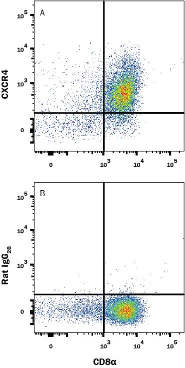 Mouse thymocytes were stained with (A) Rat Anti-Mouse CXCR4 PE-conjugated Monoclonal Antibody (Catalog # FAB21651P) or (B) Rat IgG2Bisotype control antibody (Catalog # IC013P) and Rat anti-Mouse CD8 alpha APC-conjugated Monoclonal Antibody (Catalog # FAB116A). View our protocol for Staining Membrane-associated Proteins.