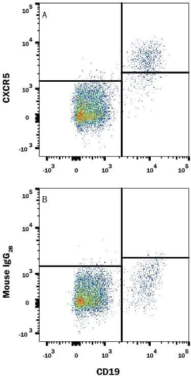 Human peripheral blood lymphocytes were stained with Mouse Anti-Human CD19 Fluorescein-conjugated Monoclonal Antibody (Catalog # FAB4867F) and either (A) Mouse Anti-Human CXCR5 PerCP-conjugated Monoclonal Antibody (Catalog # FAB190C) or (B) Mouse IgG2BPerCP Isotype Control (Catalog # IC0041C). View our protocol for Staining Membrane-associated Proteins.