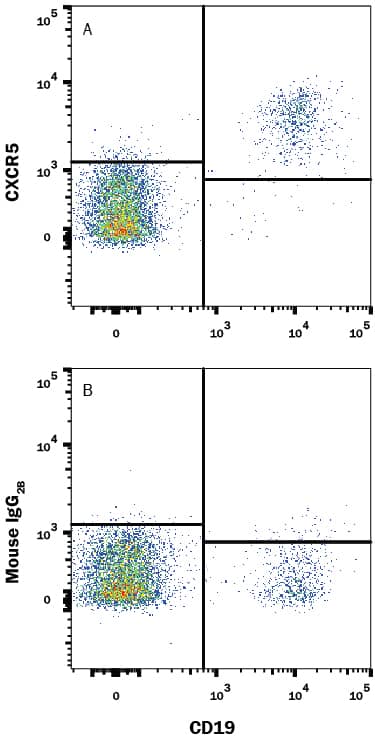 Human peripheral blood lymphocytes were stained with Mouse Anti-Human CD19 APC-conjugated Monoclonal Antibody (Catalog # FAB4867A) and either (A) Mouse Anti-Human CXCR5 Fluorescein-conjugated Monoclonal Antibody (Catalog # FAB190F) or (B) Mouse IgG2BFluorescein Isotype Control (Catalog # IC0041F). View our protocol for Staining Membrane-associated Proteins.