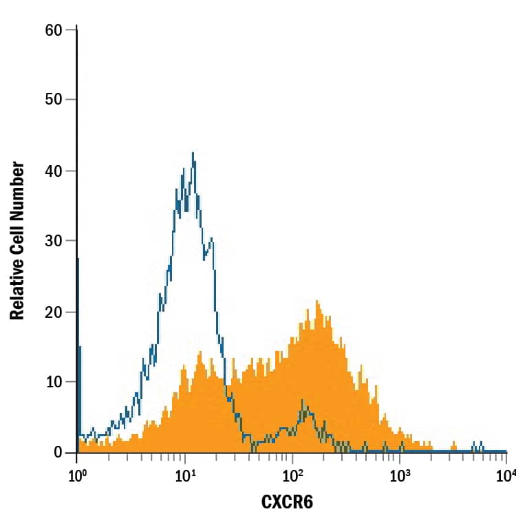 HEK293 human embryonic kidney cell line transfected with human CXCR6 was stained with Mouse Anti-Human CXCR6 APC-conjugated Monoclonal Antibody (Catalog # FAB699A, filled histogram) or isotype control antibody (Catalog # IC0041A, open histogram). View our protocol for Staining Membrane-associated Proteins.