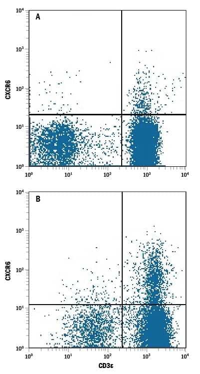 Human peripheral blood mononuclear cells (PBMCs) either (A) untreated or (B) treated with 20 ng/mL Recombinant Human IL-2 (Catalog # 202-IL) for 9 days were stained with Mouse Anti-Human CXCR6 APC-conjugated Monoclonal Antibody (Catalog # FAB699A) and Mouse Anti-Human CD3e PE-conjugated Monoclonal Antibody (Catalog # FAB100P). Quadrant markers were set based on control antibody staining (Catalog # IC0041A). View our protocol for Staining Membrane-associated Proteins.