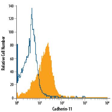 PC-3 human prostate cancer cell line was stained with Mouse Anti-Human Cadherin-11 Alexa Fluor® 700-conjugated Monoclonal Antibody (Catalog # FAB17901N, filled histogram) or isotype control antibody (Catalog # IC003N, open histogram). Cells were stained in a buffer containing Ca2+and Mg2+. View our protocol for Staining Membrane-associated Proteins.