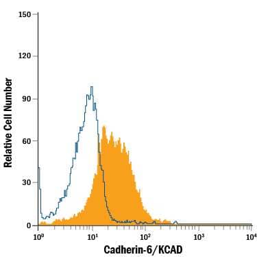 MG-63 human osteosarcoma cell line was stained with Mouse Anti-Human Cadherin-6/KCAD APC-conjugated Monoclonal Antibody (Catalog # FAB2715A, filled histogram) or isotype control antibody (Catalog # IC002A, open histogram). Cells were stained in a buffer containing Ca2+and Mg2+. View our protocol for Staining Membrane-associated Proteins.