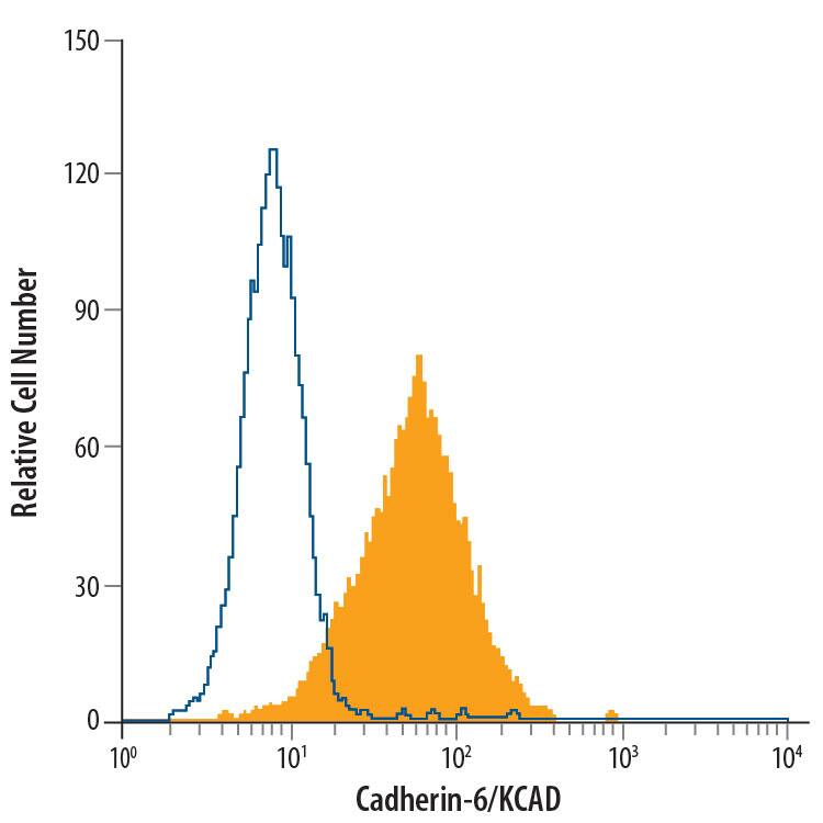 MG-63 human osteosarcoma cell line was stained with Mouse Anti-Human Cadherin-6/KCAD Alexa Fluor® 488-conjugated Monoclonal Antibody (Catalog # FAB2715G, filled histogram) or isotype control antibody (Catalog # IC002G, open histogram). Cells were stained in a buffer containing Ca2+and Mg2+. View our protocol for Staining Membrane-associated Proteins.