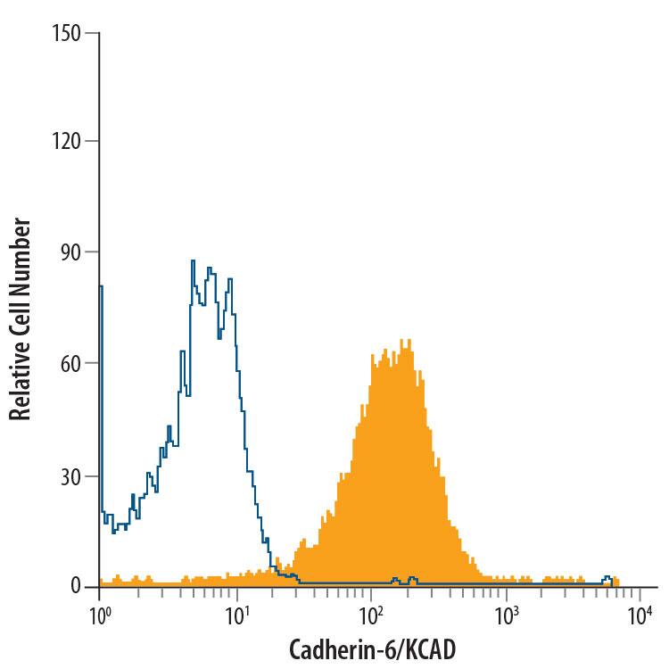 MG-63 human osteosarcoma cell line was stained with Mouse Anti-Human Cadherin-6/KCAD Alexa Fluor® 700-conjugated Monoclonal Antibody (Catalog # FAB2715N, filled histogram) or isotype control antibody (Catalog # IC002N, open histogram). Cells were stained in a buffer containing Ca2+and Mg2+. View our protocol for Staining Membrane-associated Proteins.
