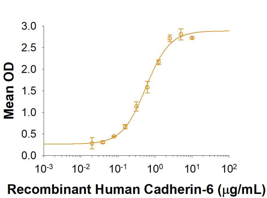When Recombinant Mouse Cadherin 9 is immobilized at 1 μg/mL,100 μL/well, Recombinant Human Cadherin-6/KCAD Fc Chimera     Recombinant  Human Cadherin‑6/KCAD Fc Chimera (Catalog # 2715-CA)  binds with an ED50 of0.25-1.5 μg/mL.