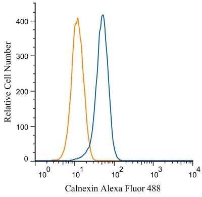 Flow Cytometry: Calnexin Antibody [NB100-1974] - Analysis of Alexa Fluor (R) 488 conjugate of NB100-1974. An intracellular stain was performed on Jurkat cells with Calnexin antibody NB100-1974AF488 (blue) and a matched isotype control NBP2-24893AF488 (orange). 
