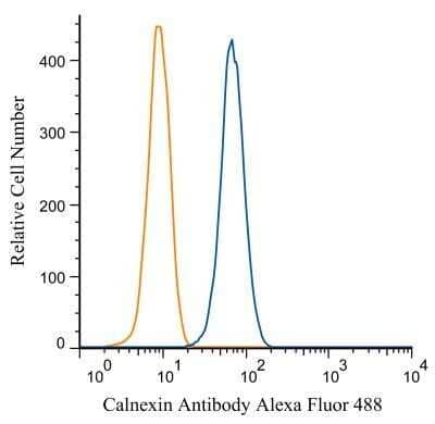 Flow Cytometry: Calnexin Antibody [NB100-1974] - An intracellular stain was performed on HeLa cells with Calnexin antibody NB100-1974AF488 (blue) and a matched isotype control NBP2-24893AF488 (orange). Cells were fixed with 4% PFA and then permeablized with 0.1% saponin. Cells were incubated in an antibody dilution of 5 ug/mL for 30 minutes at room temperature. Both antibodies were conjugated to Alexa Fluor 488. Image using the Alexa Fluor 488 form of this antibody.