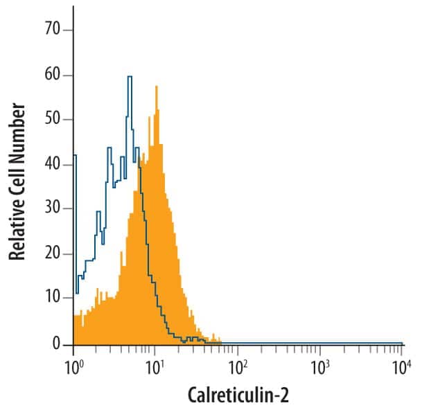 Flow Cytometry Calreticulin-2/CALR3 Antibody