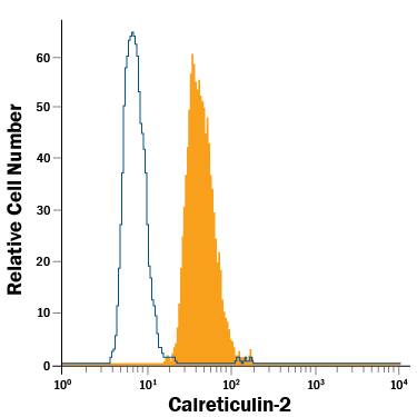 MCF-7 human breast cancer cell line was stained with Mouse Anti-Human Calreticulin-2 Alexa Fluor® 488-conjugated Monoclonal Antibody (Catalog # IC2927G, filled histogram) or isotype control antibody (Catalog # IC0041G, open histogram). View our protocol for Staining Intracellular Molecules.