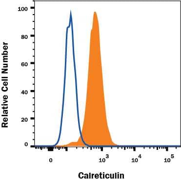 HeLa human cervical epithelial carcinoma cell line was stained with Goat Anti-Human Calreticulin Affinity-Purified Polyclonal Antibody (Catalog # AF3898, filled histogram) or control antibody (Catalog # AB-108-C, open histogram), followed by Allophycocyanin-conjugated Anti-Goat IgG Secondary Antibody (Catalog # F0108). To facilitate intracellular staining, cells were fixed with Flow Cytometry Fixation Buffer (Catalog # FC004) and permeabilized with Flow Cytometry Permeabilization/Wash Buffer I (Catalog # FC005). View our protocol for Staining Intracellular Molecules.