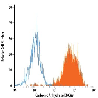 U-87 MG human glioblastoma/ astrocytoma cell line was stained with Mouse Anti-Human Carbonic Anhydrase IX/CA9 APC-conjugated Monoclonal Antibody (Catalog # FAB2188A, filled histogram) or isotype control antibody (Catalog # IC003A, open histogram). View our protocol for Staining Membrane-associated Proteins.