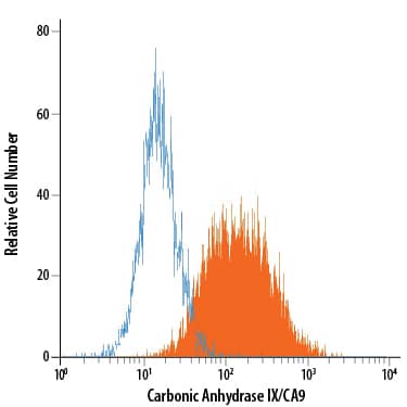 U-87 MG human glioblastoma/ astrocytoma cell line was stained with Mouse Anti-Human Carbonic Anhydrase IX/CA9 Fluorescein-conjugated Monoclonal Antibody (Catalog # FAB2188F, filled histogram) or isotype control antibody (Catalog # IC003F, open histogram). View our protocol for Staining Membrane-associated Proteins.