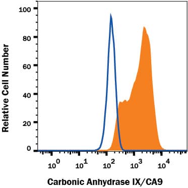 U-87 MG human glioblastoma/astrocytoma cell line was stained with Mouse Anti-Human Carbonic Anhydrase IX/CA9 Alexa Fluor® 488-conjugated Monoclonal Antibody (Catalog # FAB2188G, filled histogram) or isotype control antibody (Catalog # IC003G, open histogram). View our protocol for Staining Membrane-associated Proteins.