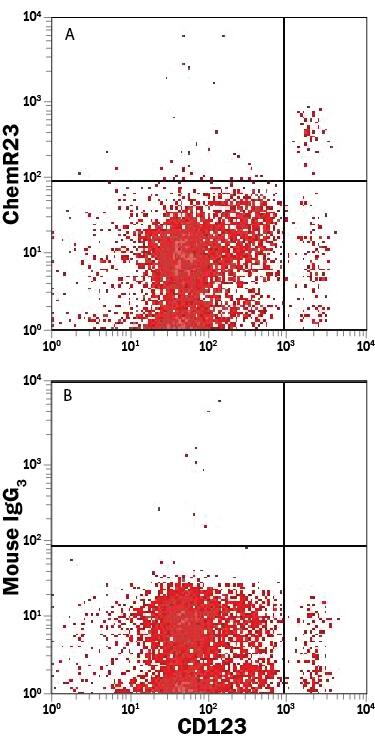 Human whole blood monocytes were stained with Mouse Anti-Human IL-3 R alpha/CD123 PE-conjugated Monoclonal Antibody (FAB301P) and either (A) Mouse Anti-Human ChemR23 APC-conjugated Monoclonal Antibody (Catalog # FAB362A) or (B) Mouse IgG3Allophycocyanin Isotype Control (IC007A). View our protocol for Staining Membrane-associated Proteins.