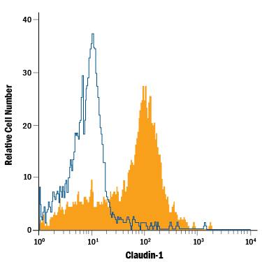 PC-3 human prostate cancer cell line was stained with Rat Anti-Human Claudin-1 APC-conjugated Monoclonal Antibody (Catalog # FAB4618A, filled histogram) or isotype control antibody (Catalog # IC006A, open histogram). View our protocol for Staining Membrane-associated Proteins.