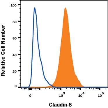 HEK293 human cell line transfected with Human Claudin-6 was stained with Mouse Anti-Human Claudin-6 Alexa Fluor® 488-conjugated Monoclonal Antibody (Catalog # FAB3656G, filled histogram) or (B) Mouse IgG2B Isotype Control Antibody (Catalog # IC0041G, open histogram). View our protocol for Staining Membrane-associated Proteins.