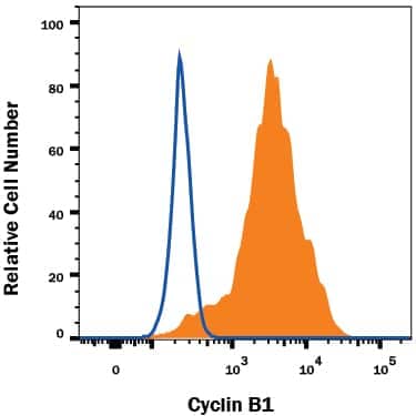     K562  human chronic myelogenous leukemia cell line was stained with Rabbit  Anti-Human Cyclin B1 Monoclonal Antibody (Catalog # MAB60001, filled  histogram) or isotype control antibody (Catalog # AB-105-C,  open histogram), followed by Phycoerythrin-conjugated Anti-Rabbit IgG  Secondary Antibody (Catalog # F0110).  To facilitate intracellular staining, cells were fixed with Flow Cytometry  Fixation Buffer (Catalog # FC004)  and permeabilized with Flow Cytometry Permeabilization/Wash Buffer I  (Catalog # FC005).  View our protocol for Staining  Intracellular Molecules. 