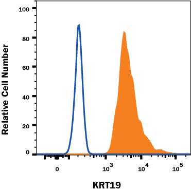 MCF-7 human breast cancer cell line was stained with Sheep Anti-Human KRT19 Alexa Fluor® 488-conjugated Affinity Purified Polyclonal Antibody (Catalog # IC3506G, filled histogram) or control antibody (Catalog # IC016G, open histogram). To facilitate intracellular staining, cells were fixed and permeabilized with FlowX FoxP3 Fixation & Permeabilization Buffer Kit (Catalog # FC012). View our protocol for Staining Intracellular Molecules.