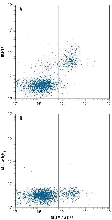 Human peripheral blood mononuclear cells (PBMCs) were stained with Mouse Anti-Human NCAM-1/CD56 APC-conjugated Monoclonal Antibody (Catalog # FAB2408A) and either (A) Mouse Anti-Human DAP12 PE-conjugated Monoclonal Antibody (Catalog # IC5240P) or (B) Mouse IgG1Phycoerythrin Isotype Control (Catalog # IC002P). To facilitate intracellular staining, cells were fixed with Flow Cytometry Fixation Buffer (Catalog # FC004) and permeabilized with Flow Cytometry Permeabilization/Wash Buffer I (Catalog # FC005). View our protocol for Staining Intracellular Molecules.