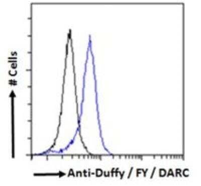 Flow Cytometry: DARC Antibody [NB100-2421] - analysis of paraformaldehyde fixed HEK293 cells (blue line), permeabilized with 0.5% Triton. Primary incubation 1hr (10ug/ml) followed by Alexa Fluor 488 secondary antibody (0.4ug/ml). IgG control: Unimmunized goat IgG (black line) followed by Alexa Fluor 488 secondary antibody.