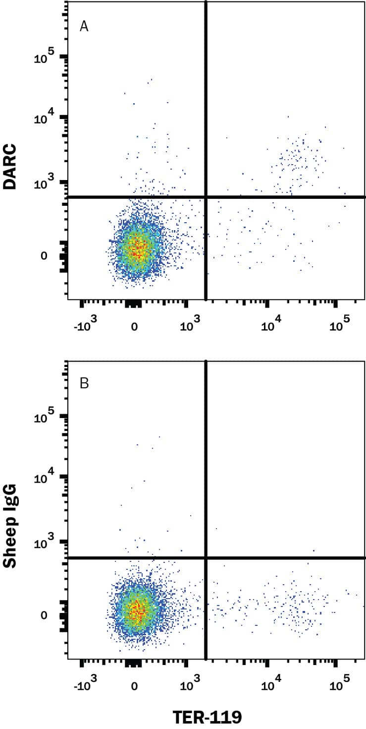 Mouse splenocytes were stained with Rat Anti-Mouse TER-119 APC-conjugated Monoclonal Antibody (Catalog # FAB1125A) and either (A) Sheep Anti-Mouse/Rat DARC PE-conjugated Antigen Affinity-purified Polyclonal Antibody (Catalog # FAB6695P) or (B) Normal Sheep IgG Phycoerythrin Control (Catalog # IC016P). View our protocol for Staining Membrane-associated Proteins.