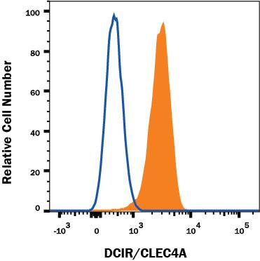 Human peripheral blood neutrophils were stained with Mouse Anti-Human DCIR/CLEC4A Alexa Fluor® 647-conjugated Monoclonal Antibody (Catalog # FAB1748R, filled histogram) or isotype control antibody (Catalog # IC002R, open histogram). View our protocol for Staining Membrane-associated Proteins.