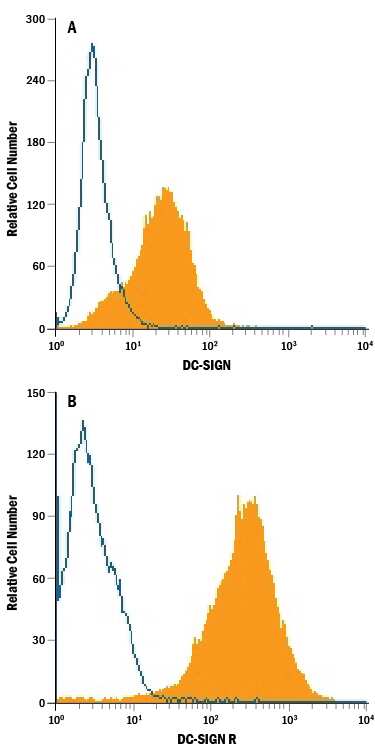 NIH-3T3 mouse embryonic fibroblast cell line transfected with (A) human DC-SIGN and (B) human DC-SIGNR was stained with Mouse Anti-Human DC-SIGN+DC-SIGNR PE-conjugated Monoclonal Antibody (Catalog # FAB1621P, filled histogram) or isotype control antibody (Catalog # IC003P, open histogram). View our protocol for Staining Membrane-associated Proteins.