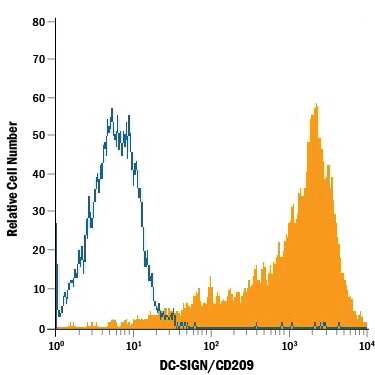 NIH-3T3 mouse embryonic fibroblast cell line transfected with human DC-SIGN/CD209 was stained with Mouse Anti-Human DC-SIGN/CD209 APC-conjugated Monoclonal Antibody (Catalog # FAB161A, filled histogram) or isotype control antibody (Catalog # IC0041A, open histogram). View our protocol for Staining Membrane-associated Proteins.
