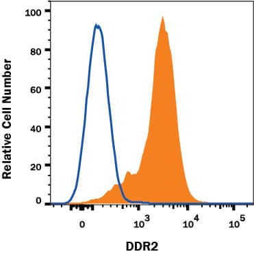 HEK293 human embryonic kidney cell line transfected with human DDR2 (filled histogram) or irrelevant transfectants (open histogram) were stained with Mouse Anti-Human DDR2 Alexa Fluor® 647-conjugated Monoclonal Antibody (Catalog # FAB25381R). View our protocol for Staining Membrane-associated Proteins.