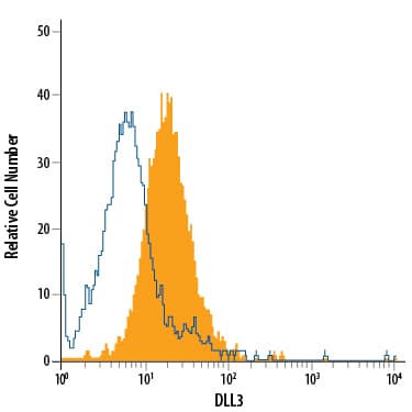 U-118-MG human glioblastoma/astrocytoma cell line was stained with Goat Anti-Human DLL3 PE-conjugated Polyclonal Antibody (Catalog # FAB4315P, filled histogram) or isotype control antibody (Catalog # IC108P, open histogram). View our protocol for Staining Membrane-associated Proteins.