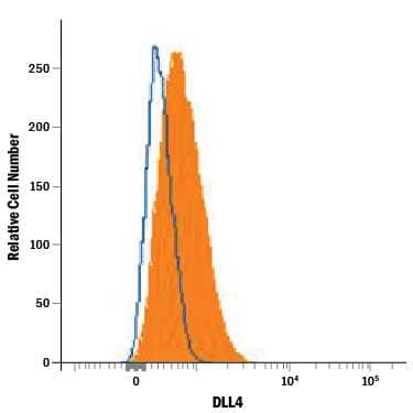 HUVEC human umbilical vein endothelial cells were stained with Rat Anti-Human DLL4 Alexa Fluor® 647-conjugated Monoclonal Antibody (Catalog # FAB1506R, filled histogram) or isotype control antibody (Catalog # IC006R, open histogram). View our protocol for Staining Membrane-associated Proteins.