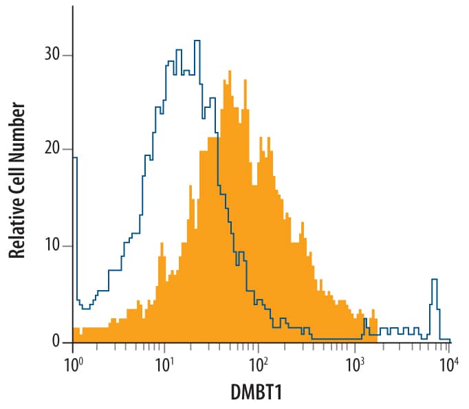 CMT‑93 mouse rectal carcinoma cell line was stained with Rat Anti-Mouse DMBT1 Monoclonal Antibody (Catalog # MAB5915, filled histogram) or isotype control antibody (Catalog # MAB0061, open histogram), followed by Allophycocyanin-conjugated Anti-Rat IgG Secondary Antibody (Catalog # F0113).