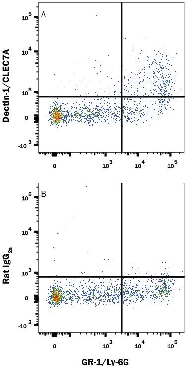 Mouse whole blood monocytes were stained with Rat Anti-Mouse Gr-1/Ly-6G PE-conjugated Monoclonal Antibody (Catalog # FAB1037P) and either (A) Rat Anti-Mouse Dectin-1/CLEC7A APC-conjugated Monoclonal Antibody (Catalog # FAB17561A) or (B) Rat IgG2AAllophycocyanin Isotype Control (Catalog # IC006A). View our protocol for Staining Membrane-associated Proteins.