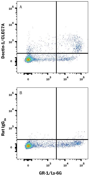 Mouse whole blood monocytes were stained with Rat Anti-Mouse Gr-1/Ly-6G APC-conjugated Monoclonal Antibody (Catalog # FAB1037A) and either (A) Rat Anti-Mouse Dectin-1/CLEC7A Alexa Fluor® 488-conjugated Monoclonal Antibody (Catalog # FAB17561G) or (B) Rat IgG2AAlexa Fluor 488 Isotype Control (Catalog # IC006G). View our protocol for Staining Membrane-associated Proteins.
