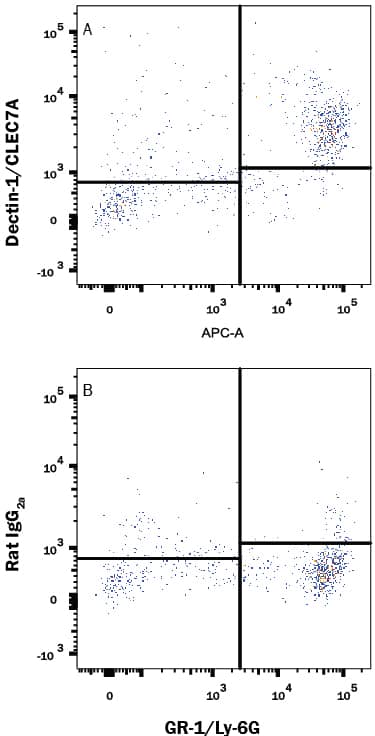 Mouse whole blood monocytes were stained with Rat Anti-Mouse Gr-1/Ly-6G APC-conjugated Monoclonal Antibody (Catalog # FAB1037A) and either (A) Rat Anti-Mouse Dectin-1/CLEC7A PE-conjugated Monoclonal Antibody (Catalog # FAB17561P) or (B) Rat IgG2APhycoerythrin Isotype Control (Catalog # IC006P). View our protocol for Staining Membrane-associated Proteins.